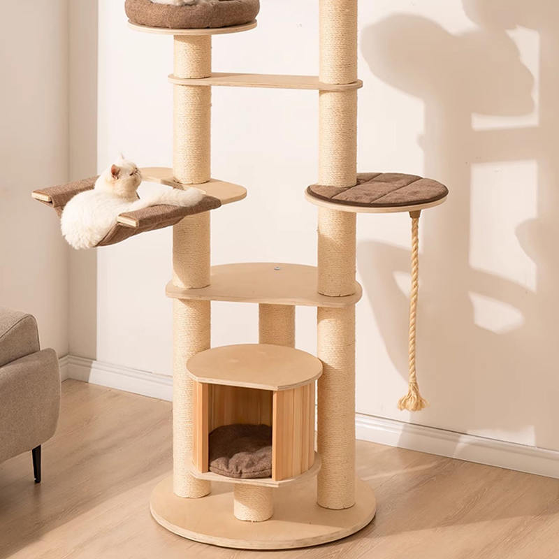 মেঝে থেকে সিলিং কাঠের কনডো ক্লাইম্বিং ফ্রেম বিড়াল গাছের টাওয়ার মেঝে থেকে সিলিং কাঠের কনডো ক্লাইম্বিং ফ্রেম বিড়াল গাছের টাওয়ার