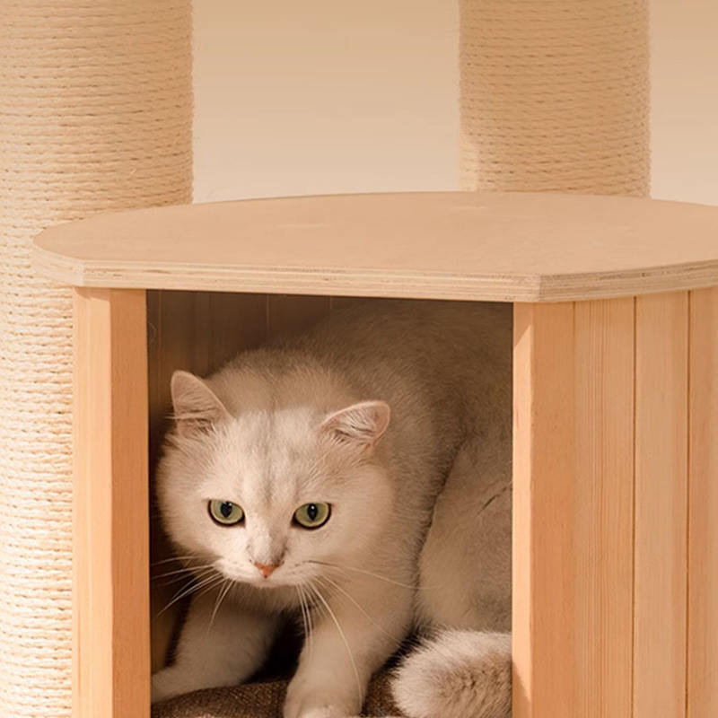 মেঝে থেকে সিলিং কাঠের কনডো ক্লাইম্বিং ফ্রেম বিড়াল গাছের টাওয়ার মেঝে থেকে সিলিং কাঠের কনডো ক্লাইম্বিং ফ্রেম বিড়াল গাছের টাওয়ার