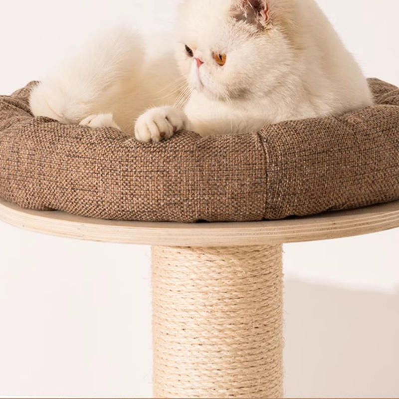 মেঝে থেকে সিলিং কাঠের কনডো ক্লাইম্বিং ফ্রেম বিড়াল গাছের টাওয়ার মেঝে থেকে সিলিং কাঠের কনডো ক্লাইম্বিং ফ্রেম বিড়াল গাছের টাওয়ার