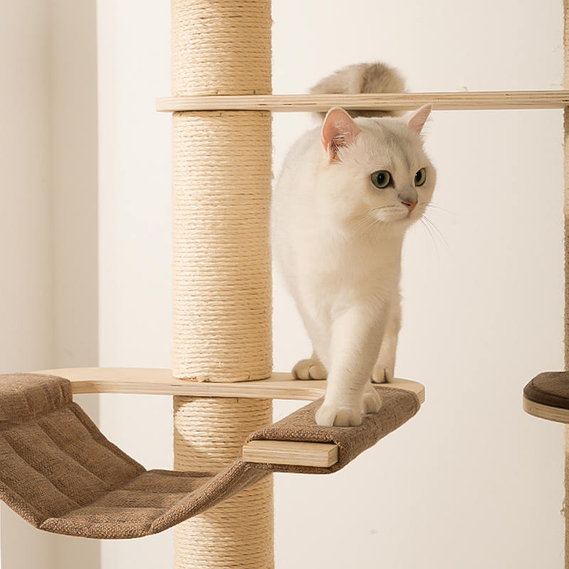 মেঝে থেকে সিলিং কাঠের কনডো ক্লাইম্বিং ফ্রেম বিড়াল গাছের টাওয়ার মেঝে থেকে সিলিং কাঠের কনডো ক্লাইম্বিং ফ্রেম বিড়াল গাছের টাওয়ার