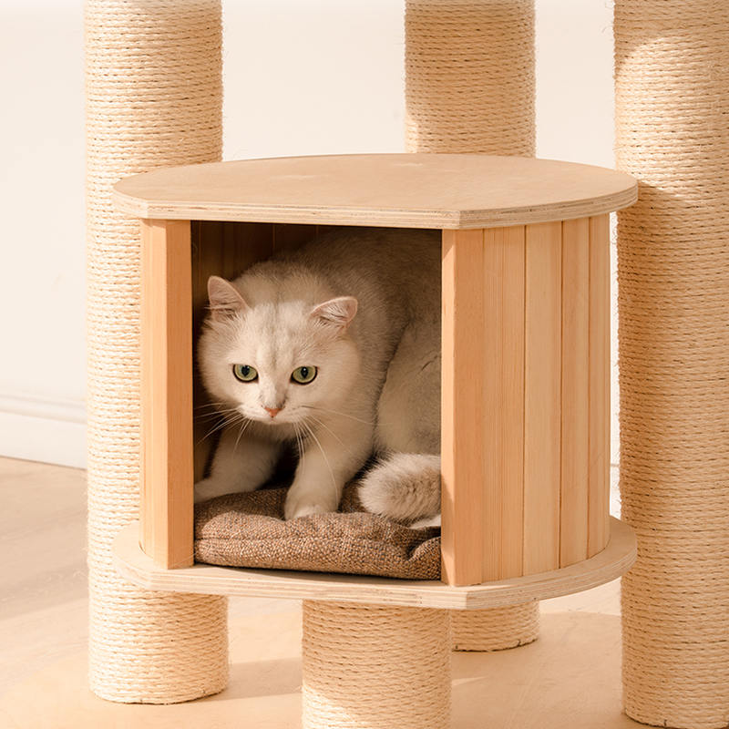 মেঝে থেকে সিলিং কাঠের কনডো ক্লাইম্বিং ফ্রেম বিড়াল গাছের টাওয়ার মেঝে থেকে সিলিং কাঠের কনডো ক্লাইম্বিং ফ্রেম বিড়াল গাছের টাওয়ার