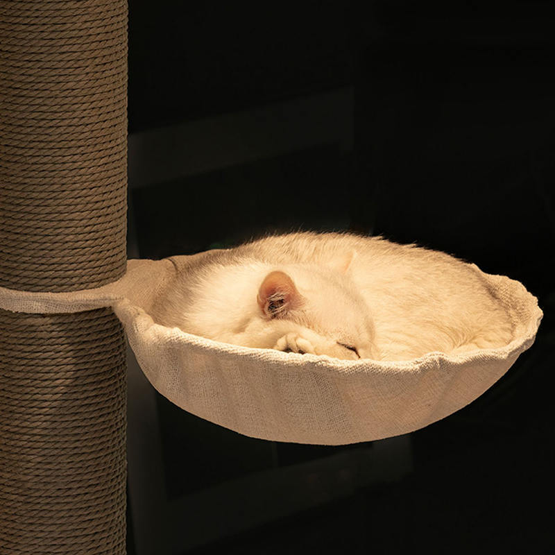 টাওয়ার মেঝে থেকে সিলিং ইনডোর সলিড কাঠের ক্লাইম্বিং ফ্রেম বিড়াল গাছ টাওয়ার মেঝে থেকে সিলিং ইনডোর সলিড কাঠের ক্লাইম্বিং ফ্রেম বিড়াল গাছ