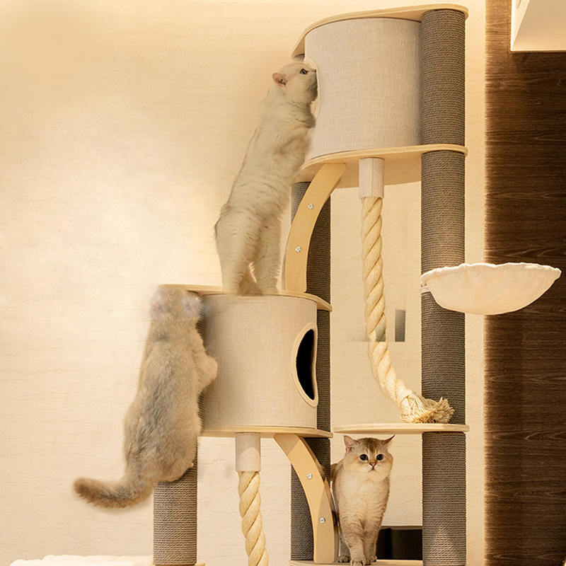 টাওয়ার মেঝে থেকে সিলিং ইনডোর সলিড কাঠের ক্লাইম্বিং ফ্রেম বিড়াল গাছ টাওয়ার মেঝে থেকে সিলিং ইনডোর সলিড কাঠের ক্লাইম্বিং ফ্রেম বিড়াল গাছ