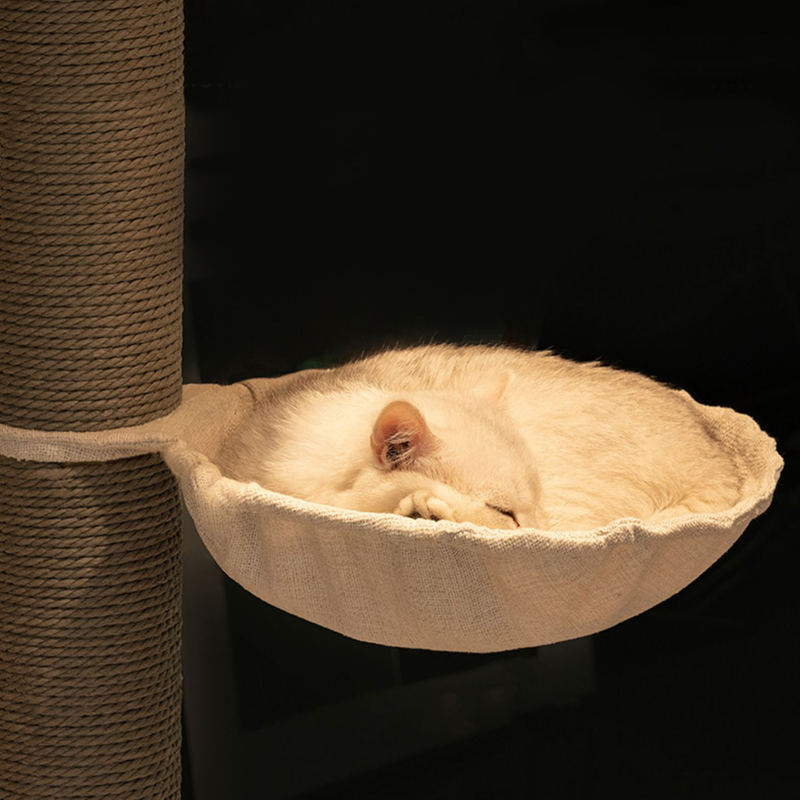 টাওয়ার মেঝে থেকে সিলিং ইনডোর সলিড কাঠের ক্লাইম্বিং ফ্রেম বিড়াল গাছ টাওয়ার মেঝে থেকে সিলিং ইনডোর সলিড কাঠের ক্লাইম্বিং ফ্রেম বিড়াল গাছ