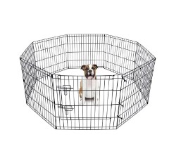 বিভিন্ন পোষা প্রাণীর জন্য সঠিক খাঁচার আকার এবং ফাংশন কীভাবে চয়ন করবেন?